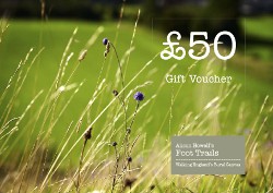 £50 Holiday Gift Voucher