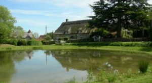 Cottages arround the village pond