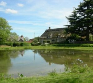 Dorset Cottage by the Pond