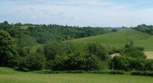 Somerset Countryside
