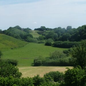 Somerset Fields and Pastures
