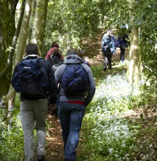 Walking in Wiltshire