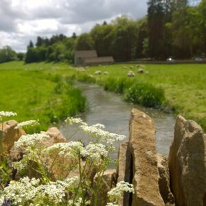 Walking trips & Tours in The Cotswolds