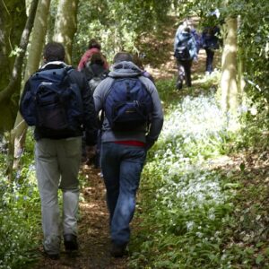 Small group guided walking & hiking tour in Dorset, UK