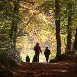 Film - We are Foot Trails