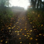 InstagramCapture_76a3c726-d31e-4503-ade4-e701bb6f140c