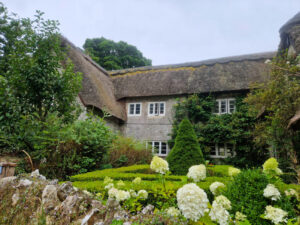 A traditional stone and thatch cottage with a country garden and stone wall in front