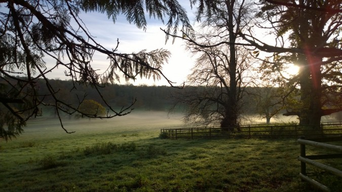 Spellbound by mist