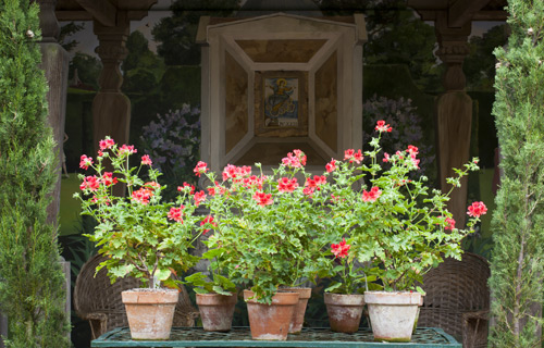 Plant pots at the National Trust's Hidcote Gardens