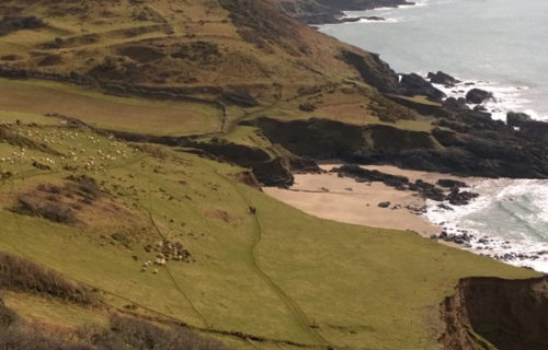 View of walkers on the Devon costal path