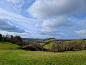 View over rolling hills, hedges and fields stretching off into the distance under a blue sky with clouds