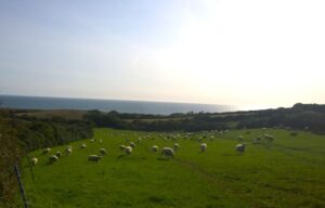 View across Dorset countryside to the coast