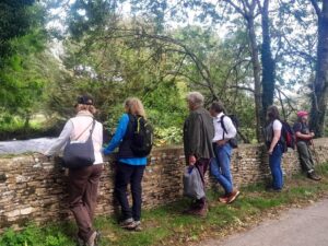 Walking & Hiking In The Cotswolds