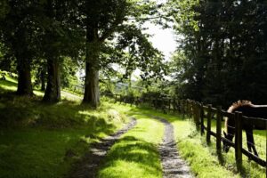 Rural trails in South West England