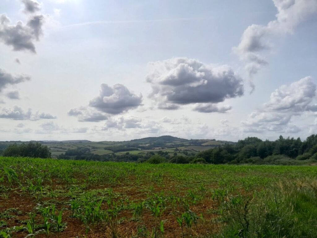 Hiking Holidays In Dorset UK