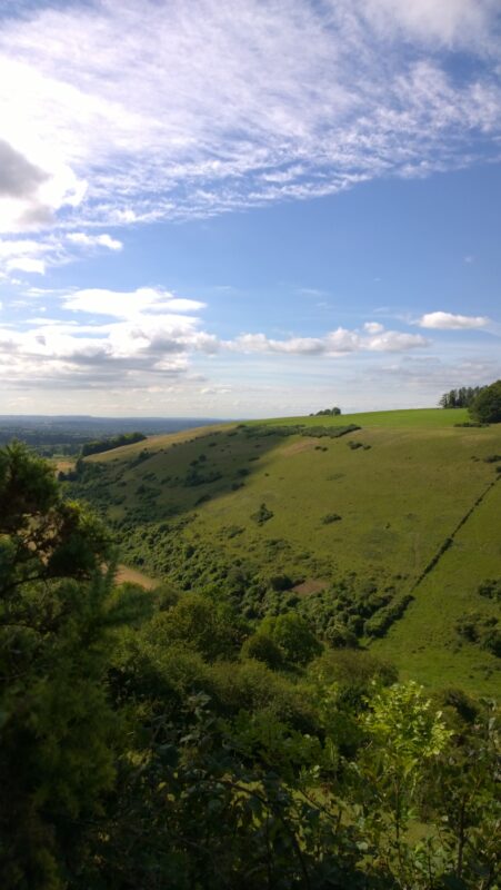 Rolling landscape in Wessex