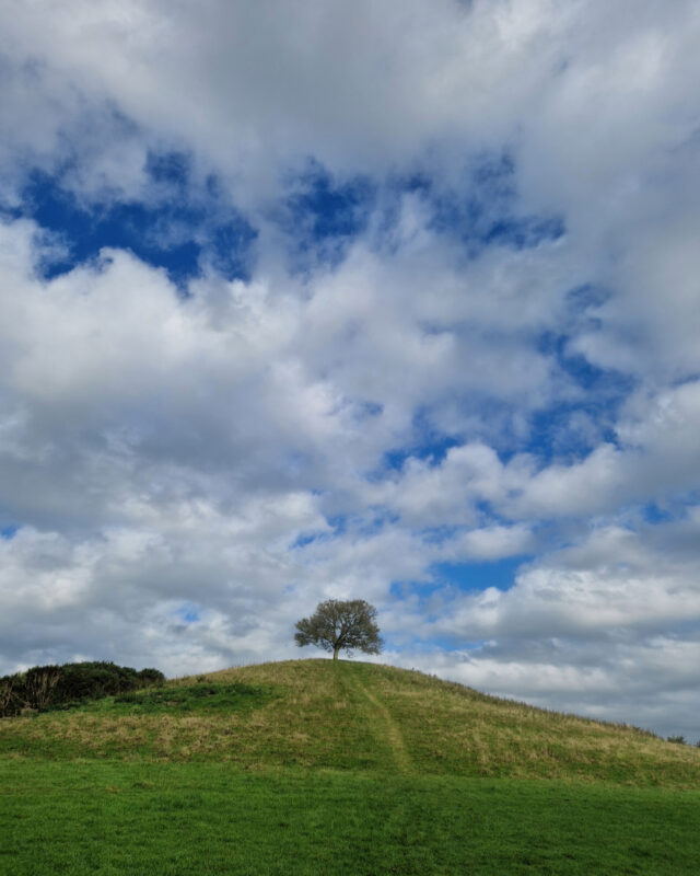 Tree on Burrow Hill from afar