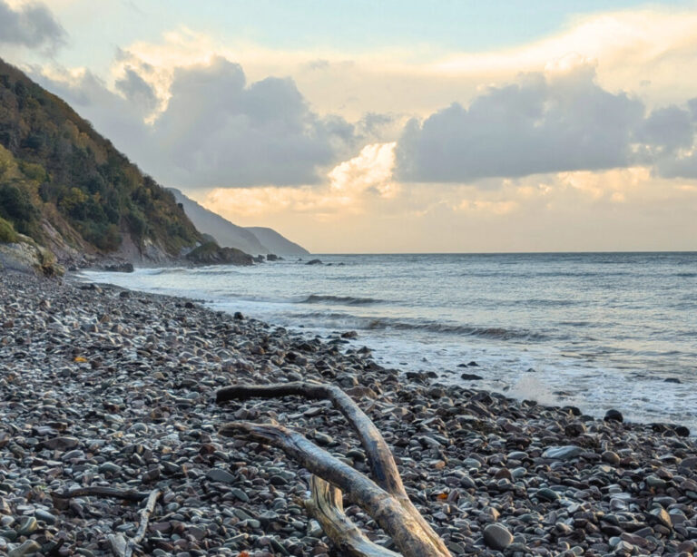 Pebble beach with cliffs in the background and Driftwood in the foreground