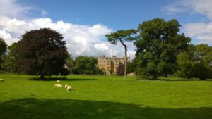 Green field with sheep grazing and a grand country house in the background