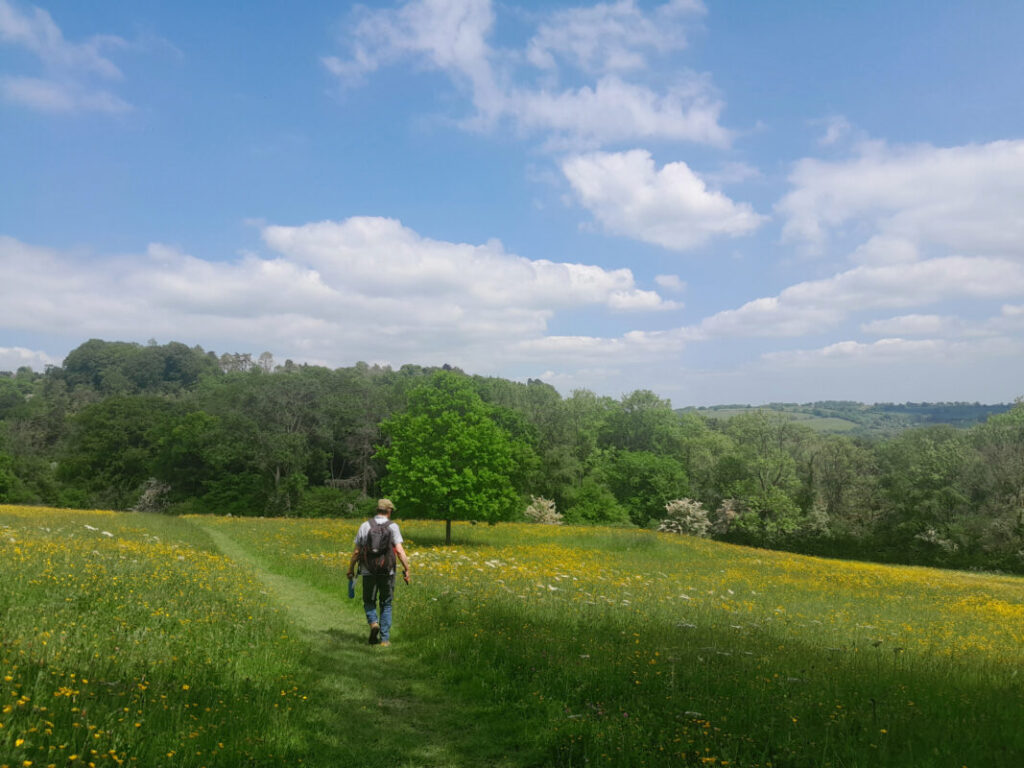 Person walking through spring meadow