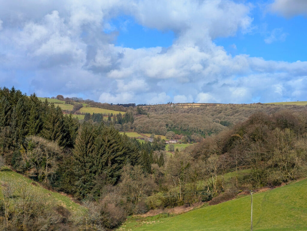 View of wooded valleys and Exmoor in the distance in February