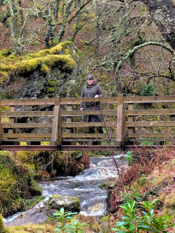 Walker on a wooden footbridge over a stream in Exmoor