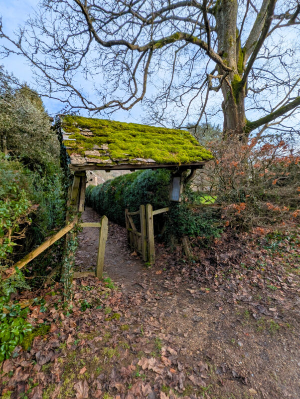 Old porch and gateway in the woods covered in moss