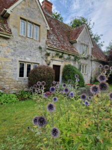 Cottage and garden flowers in bloom in August