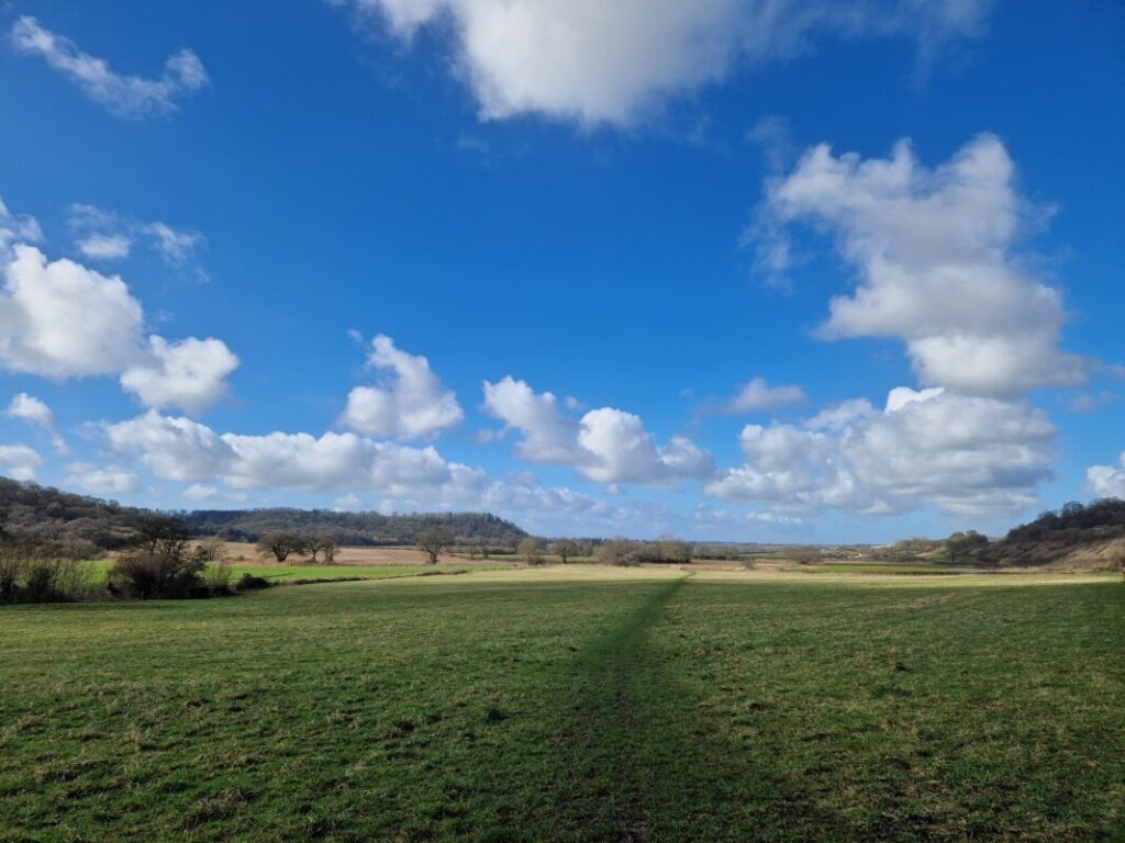 Worn footpath in a green field stretching off into the distance. The sky is bright blue with fluffy white clouds.