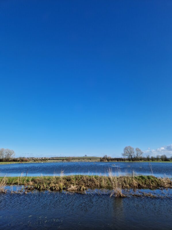 View of flooded fields in the Somerset Levels under a cloudless blue sky