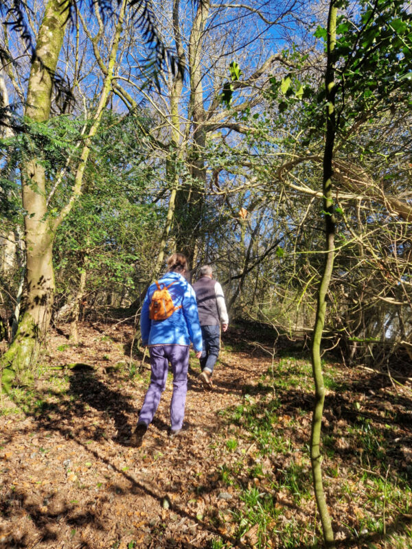 Two people walking uphill on a path through woodland