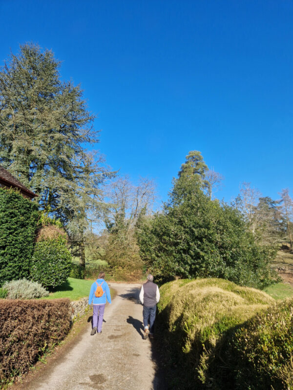 Two people walking along a quiet country lane between hedges