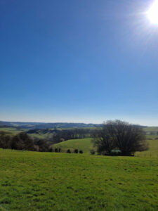 View over rolling countryside. Blue sky, no clouds, and a tree to the right