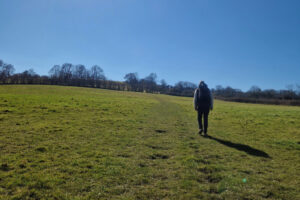 Person walking up a field. There are trees on the horizon and the sun is shining in a cloudless sky.