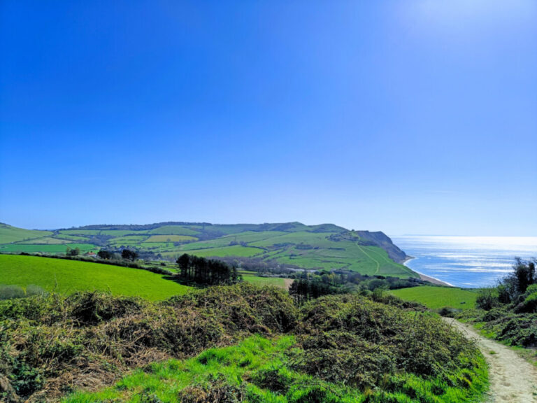View along the Dorset Coast. Green fields and cliffs stretching off into the distance under a sunny, blue, cloudless sky and a glimpse of the blue sea to the right.