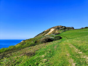 View of the summit of Golden Cap cliff. Green grass leading to the summit under a bright blue cloudless sky with a glimpse of the sea to the left.
