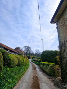 A quiet country lane snaking off into the distance.The lanes is bordered by hedges and cottages on both sides.