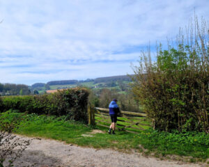 A person leaning on a farm gate gazing out acrross the countryside.
