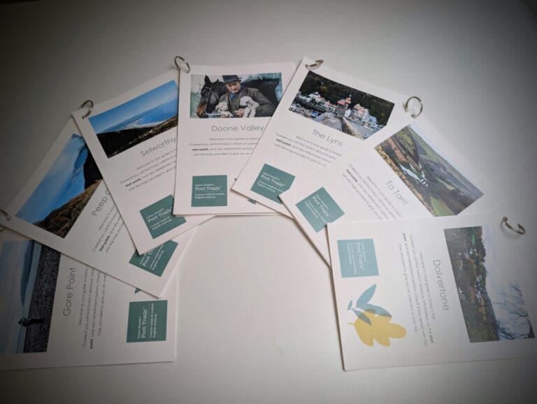 Seven brochures spread out on a table