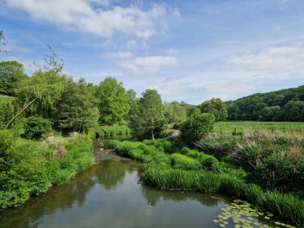 Picture of a river surrounded by lush green trees and fields with an egret just visible in the water in the distance