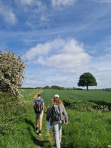A man and a woman walking along a footpath in a field. There are hawthorn hedges in bloom to their left, and a lone tree in the distance to their right