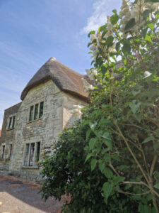 An old stone thatched cottage with a green bush in the foreground