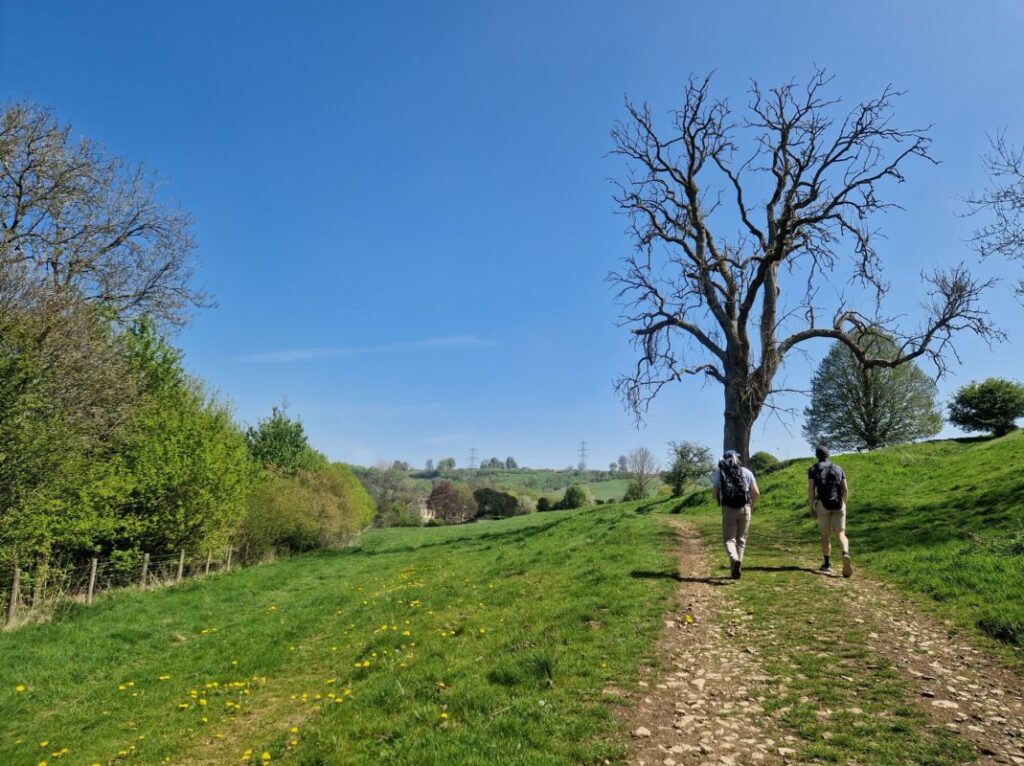 Two people walking along a footpath with a large, bare tree in the background.