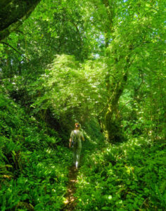 A female hiker walking downhill through a shady woodland