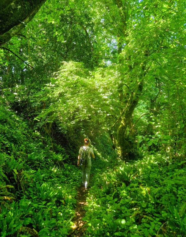 A female hiker walking downhill through a shady woodland