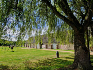 Photo of a medieval tithe barn with a willow tree in the foreground