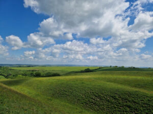 View from Eggardon Hill