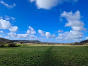 View of a path through a field on the Somerset Levels.