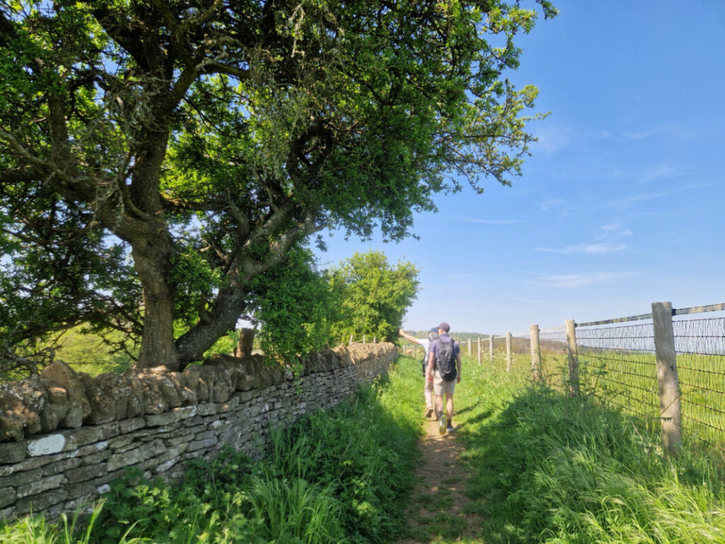 Two people walking down a footpath with a drystone wall and trees to the left and a fence to the right
