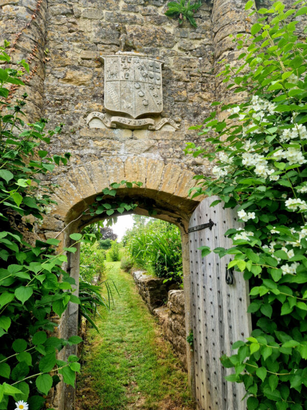 An old stone archway and open door below a family crest. A white rose is growing up the wall to the right.